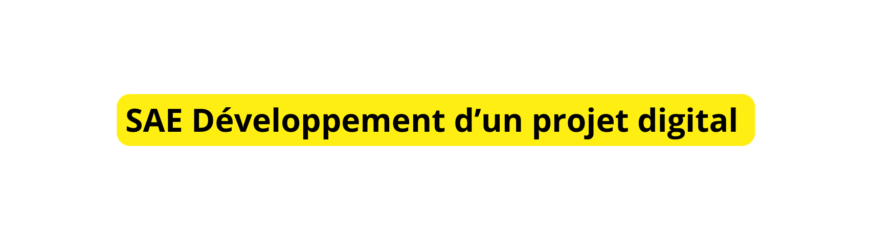 SAE Développement d un projet digital